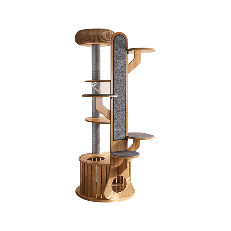 Kaktus bentuk kayu mendaki bingkai pokok kucing pepejal dengan kapsul ruang